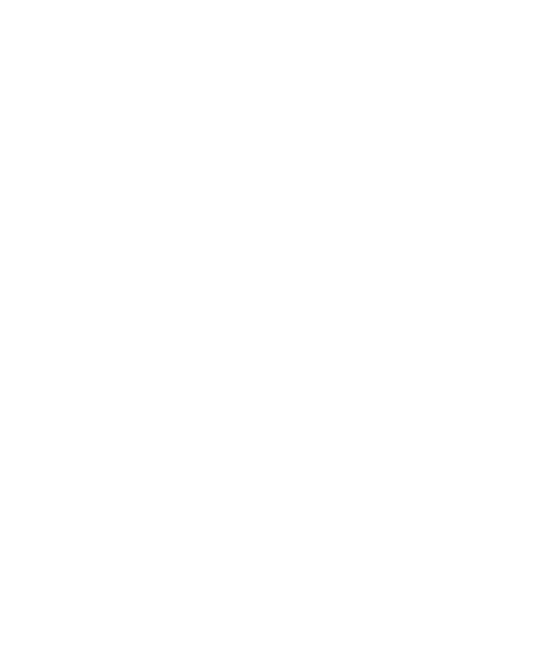 Kanryo Higaonna Sensei