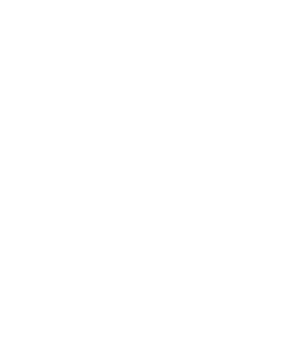 Chojun Miyagi Sensei